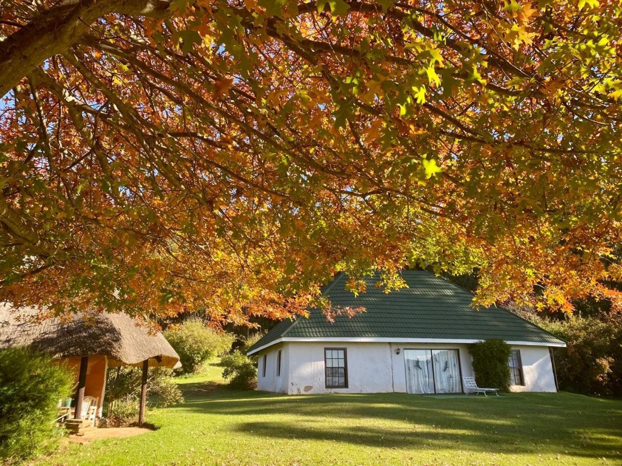 Pear Tree Cottage-أندربرغ المظهر الخارجي الصورة